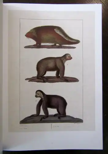 Histoire Naturelle Generale et Particuliere 2009 Bildband Folioausgabe Wissen js