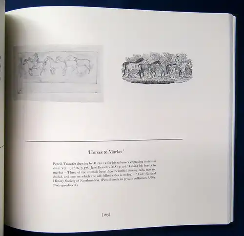 Bain The Watercolours and Drawings of Thomas Bewick 2 Bde 1981 Kunst js