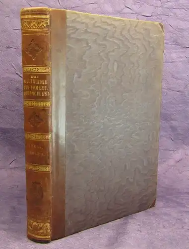 Schwab Wanderungen durch Schwaben. Sektion II.1837 Wissen Geographie js