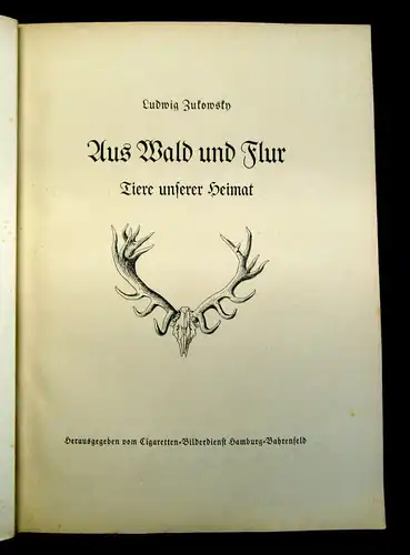 Nöldner Aus Wald und Flur SBA Pflanzen u. Tiere 1937/38 1 u.3 komplett mb