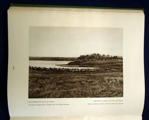 Hamilton Canada Landschaft und Volksleben 1926  Orbis Terrarum Kultur js