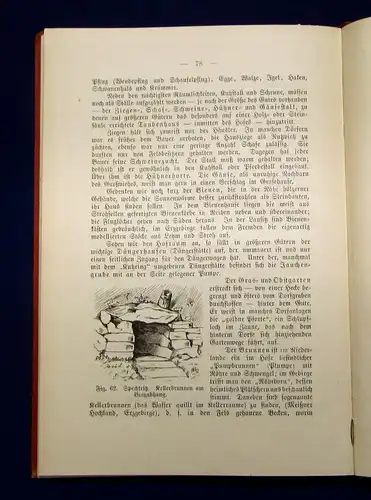 Benndorf Die sächsische Volkskunde als Lehrstoff in der Volksschule 1901 Sachsen