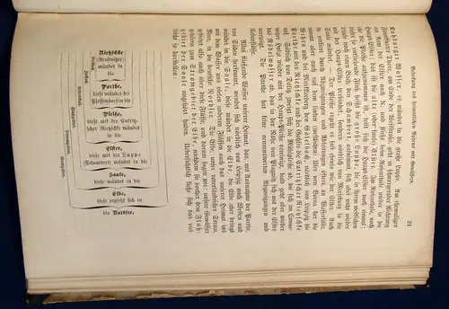 Rommel Leitfaden der Heimatskunde von Leipzig 1881 29 Abb. 1 Karte 1 Plan js