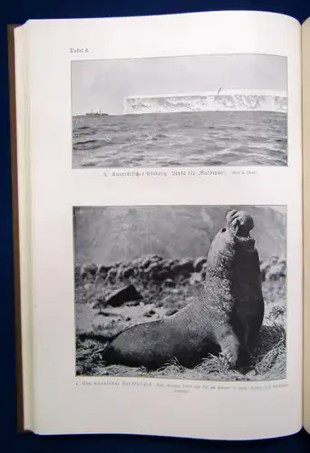 Mecking Die Polarländer 1925 Mit 117 Kärtchen, Profilen, Diagrammen im Text js