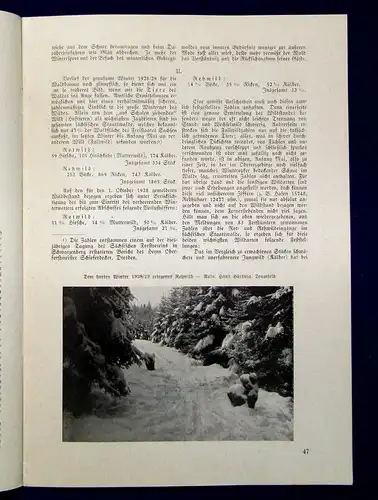 Fröbe Erzgebirgsverein Glückauf Zeitschrift d Erzgebirgsvereins  50. Jahrg.1930