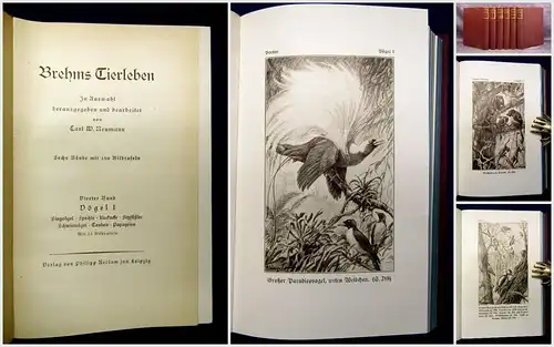 Neumann Brehms Tierleben 6 Bde um 1900 Naturwissenschaften Tiere Vögel Fische mb