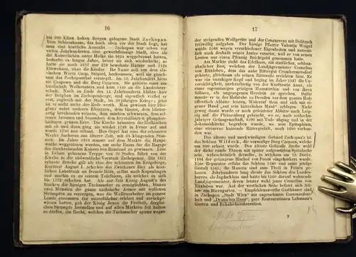 Moser Drei Tage im Zschopau-Thale 1874 Führer Spezialkarte sehr selten js