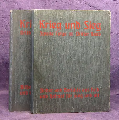 Thiene Krieg und Sieg 2 Bde 1917/18 Gechichte Gesellschaft Politik Krieg  mb