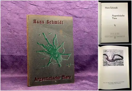 Schmidt Argentinische Tiere 1935 Naturwissenschaften Tiere Argentinien mb