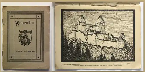 Orig. Prospekt von Gerhard Platz Frauenstein um 1900 Sachsen Ortskunde Reise sf