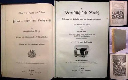 Hellwald Der vorgeschichtliche Mensch Ursprung u. Entwicklung d.Menschen 1874 js