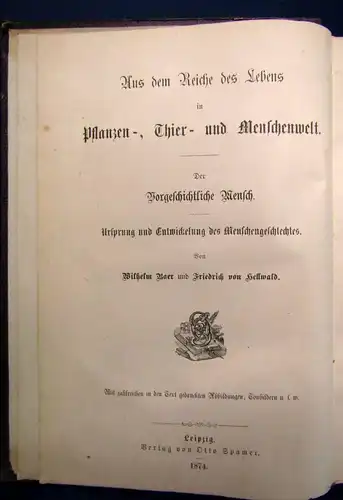 Hellwald Der vorgeschichtliche Mensch Ursprung u. Entwicklung d.Menschen 1874 js