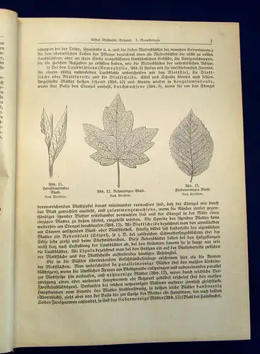 Wehrhahn Großes Handbuch für Gartenbau und Gartenkultur um 1929 2 Bde Technik mb