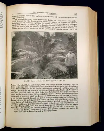 Wehrhahn Großes Handbuch für Gartenbau und Gartenkultur um 1929 2 Bde Technik mb