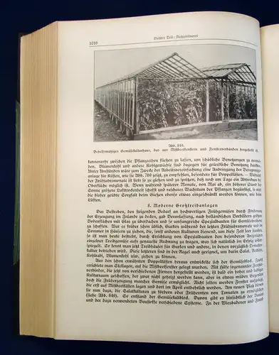 Wehrhahn Großes Handbuch für Gartenbau und Gartenkultur um 1929 2 Bde Technik mb