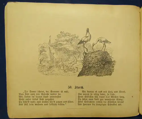 Hey,Wilhelm Fünfzig Fabeln für Kinder um 1900 Klassiker Erzählungen js