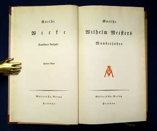 Goethes Werke 1-10 komplett Sanssouci-Ausgabe um 1920 dekorativer HLdr. js