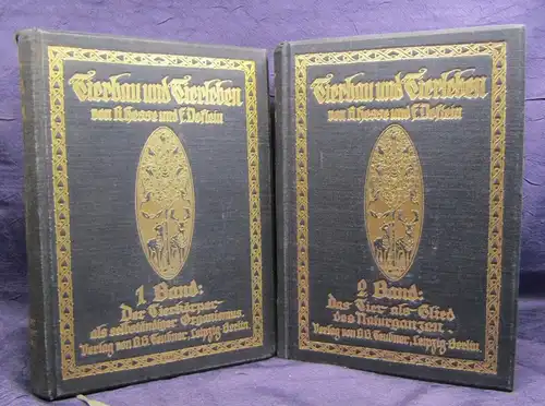 Hesse Tierbau u. Tierleben 2 Bde 1901/ 1914 selbständiger Organismus Zoologie js