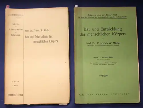 Bau und Entwicklung des menschlichen Körpers 2 Bände 1 & 2 komplett 1914 js