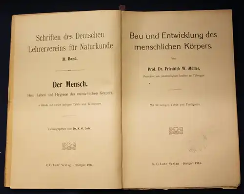 Bau und Entwicklung des menschlichen Körpers 2 Bände 1 & 2 komplett 1914 js