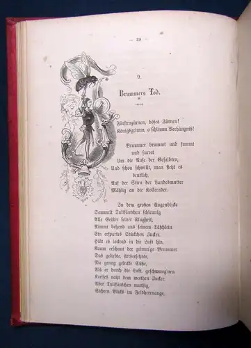 Immermann Tulifäntchen Ein Heldengedicht in drei Gesängen o.J. Belletristik js