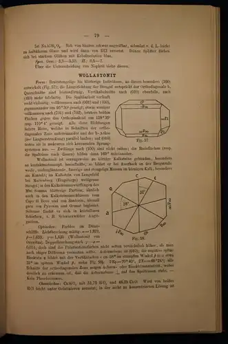 Reinisch Petrographisches Praktikum 2 Bde 1907 Mineralogie Gestein Wissen sf