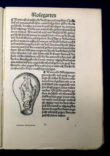 Eucharius Rösslins "Rosengarten" 1513 Begleit- Text v. Gustav Klein 1910 js