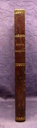 Amyntor Randglossen zum Buche des Lebens 1876 Hypochondrische Plaudereien js