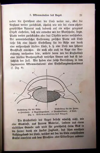 Sicherer Hygiene des Auges im gesunden und kranken Zustande um 1900 15 Illu. js