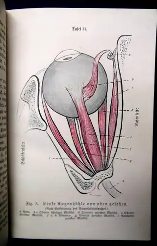 Sicherer Hygiene des Auges im gesunden und kranken Zustande um 1900 15 Illu. js