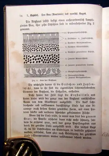 Sicherer Hygiene des Auges im gesunden und kranken Zustande um 1900 15 Illu. js