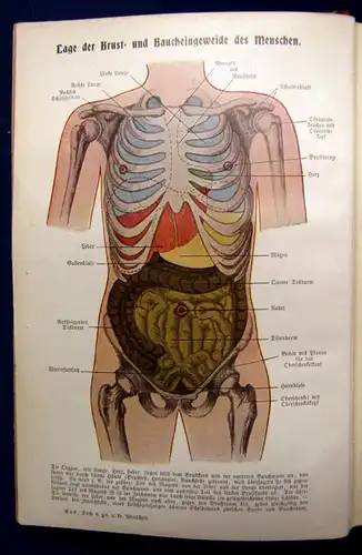 Bock Das Buch vom gesunden und kranken Menschen um 1900 js