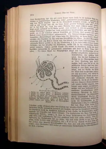 Bock Das Buch vom gesunden und kranken Menschen um 1900 js