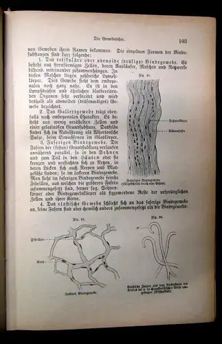 Bock Das Buch vom gesunden und kranken Menschen um 1900 js