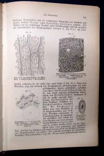 Bock Das Buch vom gesunden und kranken Menschen um 1900 js