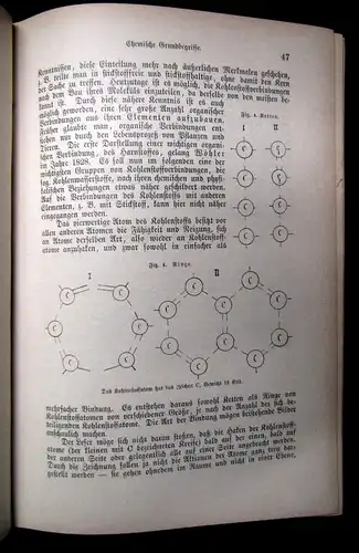 Bock Das Buch vom gesunden und kranken Menschen um 1900 js