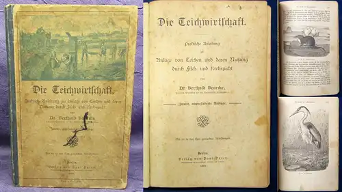 Benecke die Teichwirtschaft Praktische Anleitung v. Teichen und Nutzung 1889 js