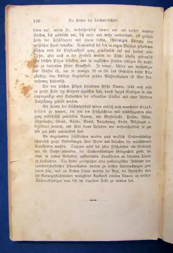 Benecke die Teichwirtschaft Praktische Anleitung v. Teichen und Nutzung 1889 js