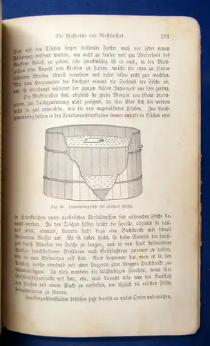 Benecke die Teichwirtschaft Praktische Anleitung v. Teichen und Nutzung 1889 js