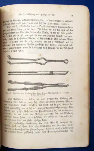 Benecke die Teichwirtschaft Praktische Anleitung v. Teichen und Nutzung 1889 js