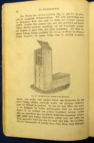 Benecke die Teichwirtschaft Praktische Anleitung v. Teichen und Nutzung 1889 js