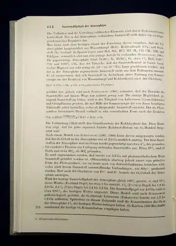 Tischendorf, Seim Grundlagen der Geochemie 1990  js