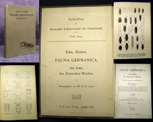 Reitter Fauna Germanica Die Käfer des deutschen Reiches 1909 js