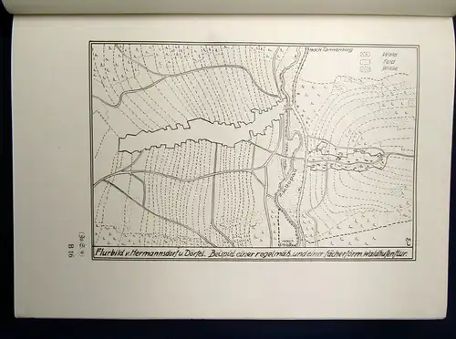 Pestalozziverein Die Provinz Sachsen in Wort und Bild Bd. 2, 200 Abb. 1902 js