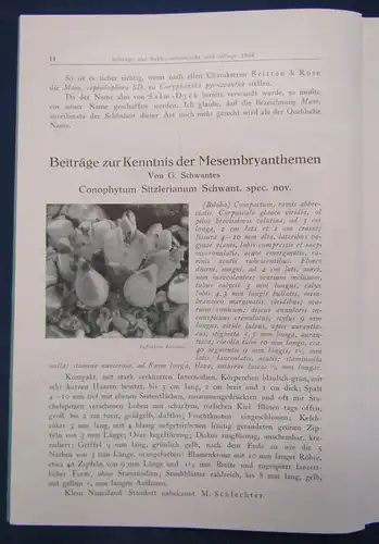 Beiträge zur Sukkulentenkunde und Pflege Lieferung 1-3 1938 Pflanzenkunde js