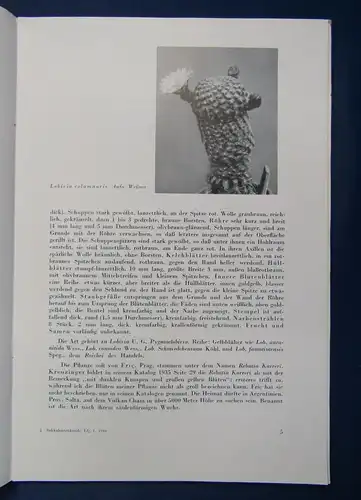 Beiträge zur Sukkulentenkunde und Pflege Lieferung 1-3 1938 Pflanzenkunde js