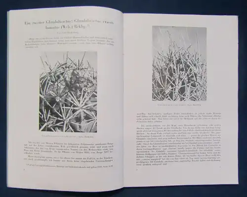 Beiträge zur Sukkulentenkunde und Pflege Lieferung 1-3 1938 Pflanzenkunde js