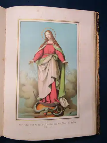 Bayerle Römisch- Katholisches Epistel- und Evangelienbuch 1869 Theologie  js