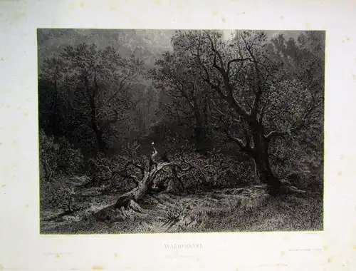 Scheffel Marak Willmann Waldeinsamkeit Zwölf landschaftl. Stimmungsbilder 1878 m