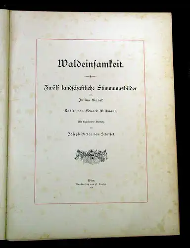 Scheffel Marak Willmann Waldeinsamkeit Zwölf landschaftl. Stimmungsbilder 1878 m